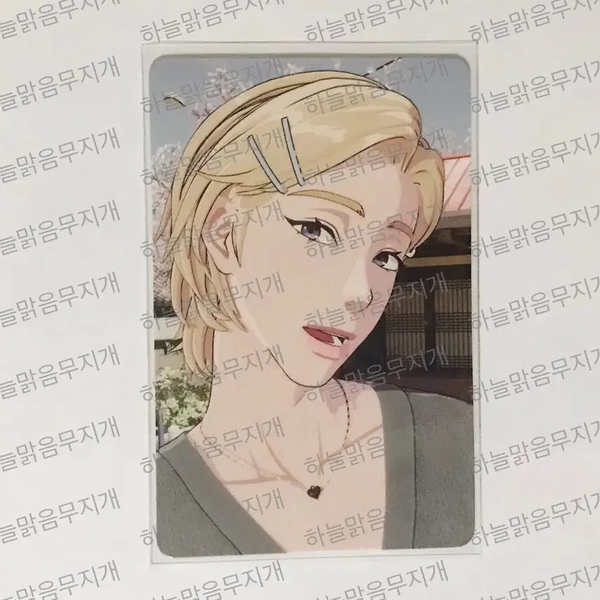 플레이브 메디힐 1.5차 포카 포토카드 노아