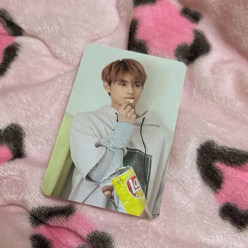 세븐틴 준 고맙다 공방 포카