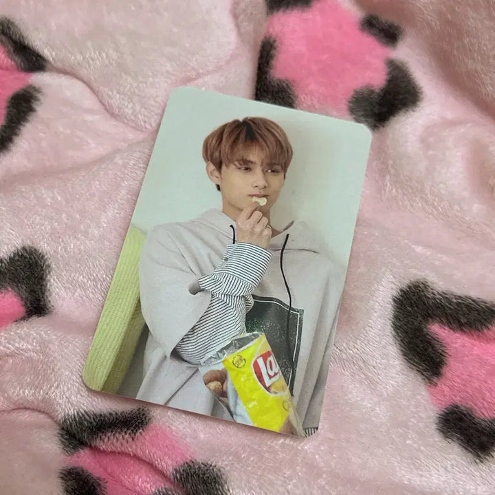 세븐틴 준 고맙다 공방 포카