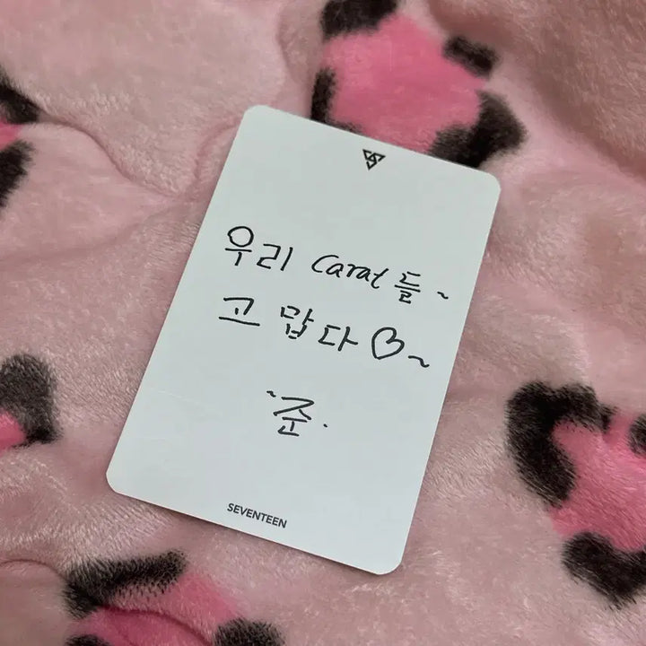 세븐틴 준 고맙다 공방 포카