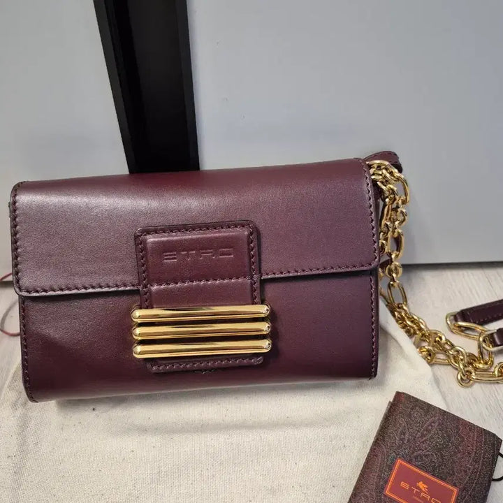 [BUNJANG] Etro Chain Mini Crossbody Bag / 에트로 체인 미니크로스백