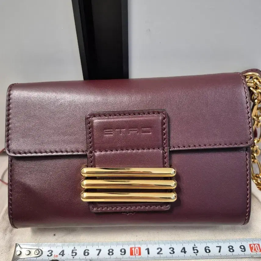 [BUNJANG] Etro Chain Mini Crossbody Bag / 에트로 체인 미니크로스백