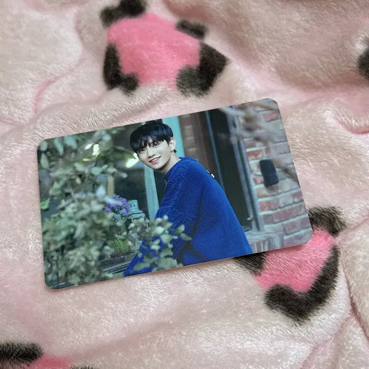 세븐틴 조슈아 고맙다 공방 포카