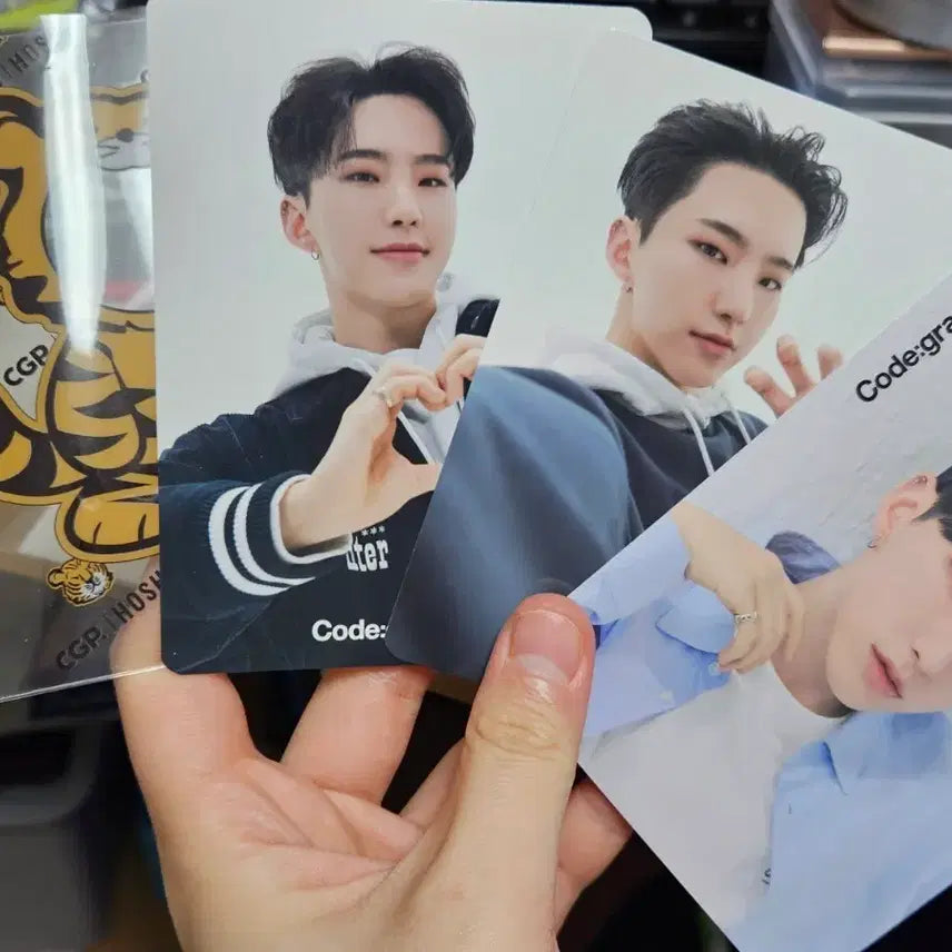 코드그라피 호시 포카 cgp