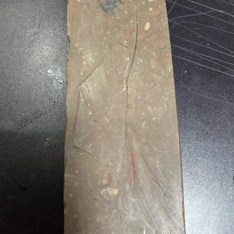 [BUNJANG] Lituitid Ammonite Fossil / 암모나이트 리투이테스.화석