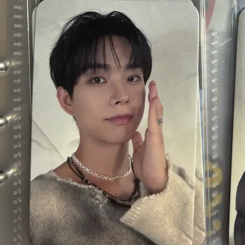 루시 lucy 최상엽 루시드라인 선 콘서트 럭키드로우 럭드 md 포카