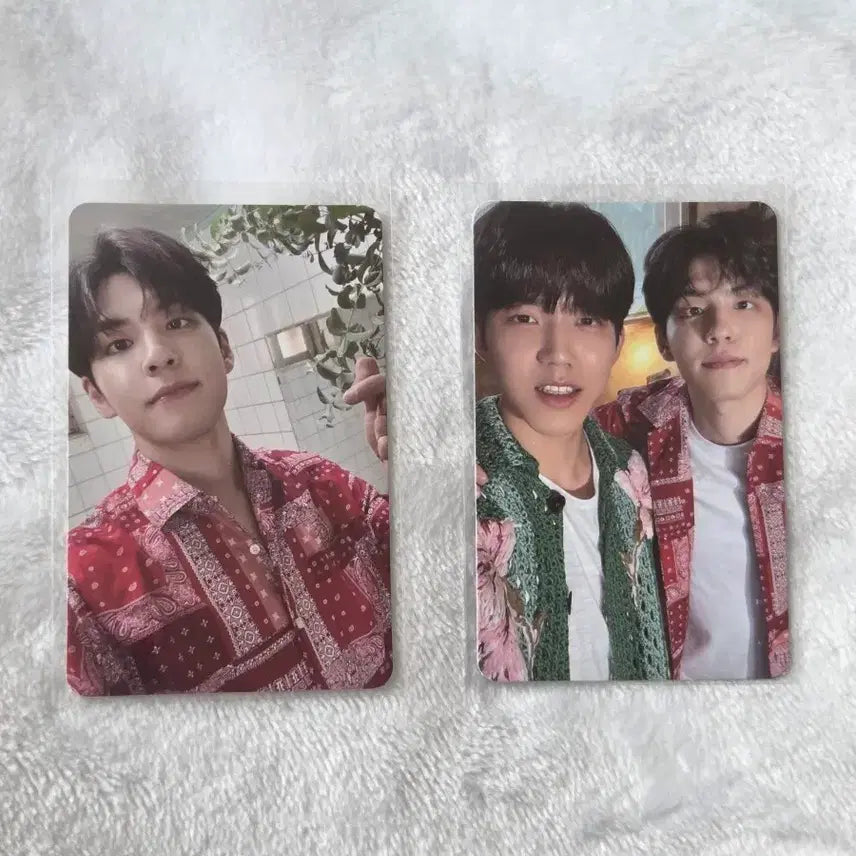 일괄)데이식스 이오데 원필 도운 포카