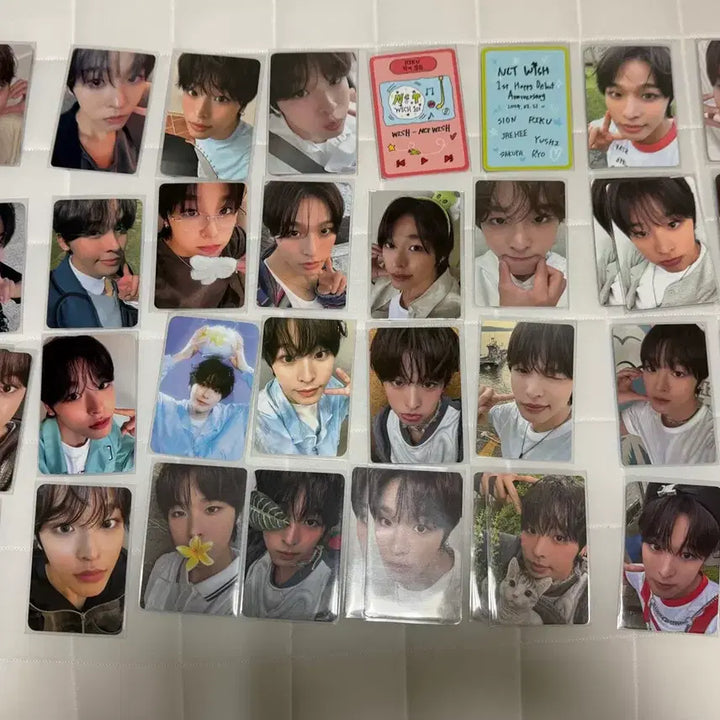 엔시티위시 리쿠 포카 일괄