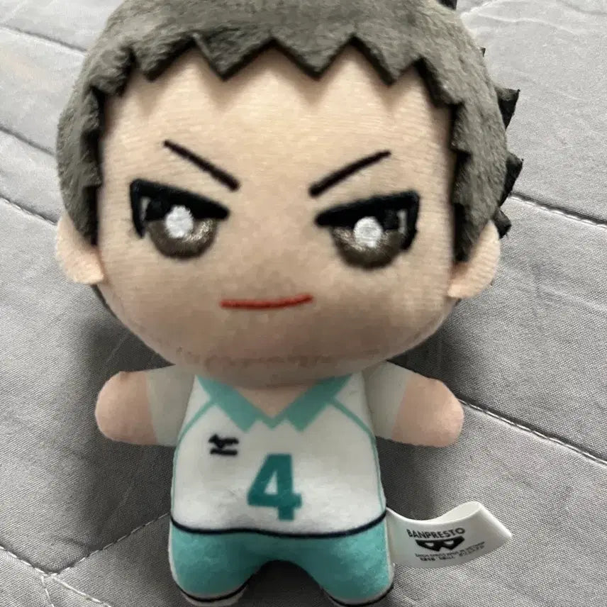 [BUNJANG] Haikyu Sanrio Iwaizumi Plush / 하이큐 산리오 콜라보 이와이즈미 누이