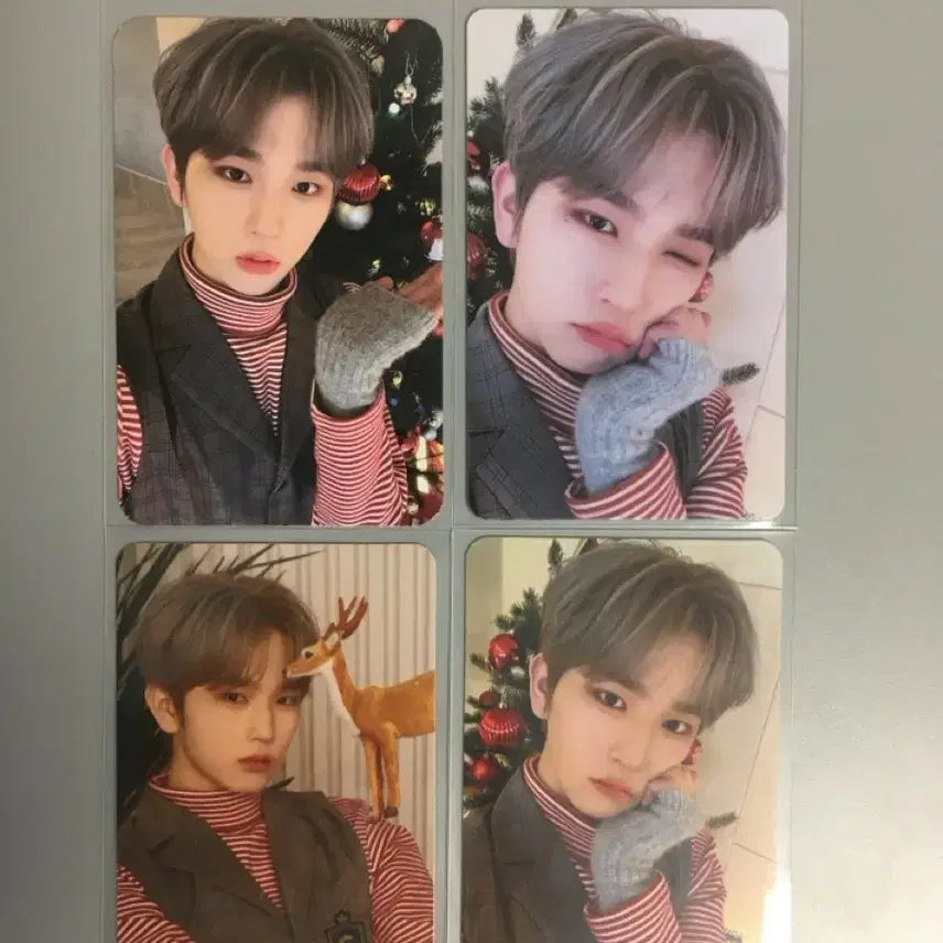 이펙스 백승 2022 씨나인 크리스마스 포토카드 포카 뮤지콘 앨범 후즈팬