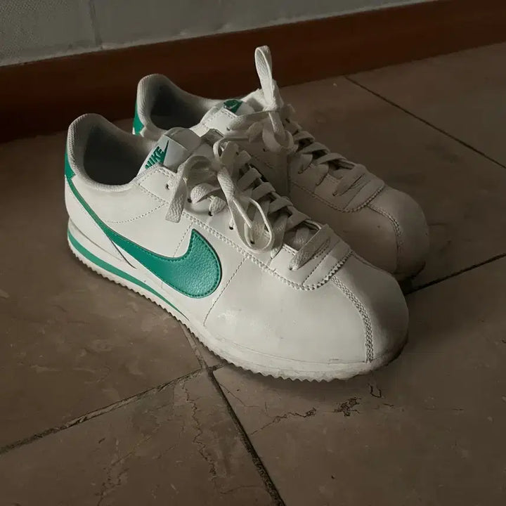 [SOLD OUT] 나이키 코르테즈 세일 스타디움 그린 270