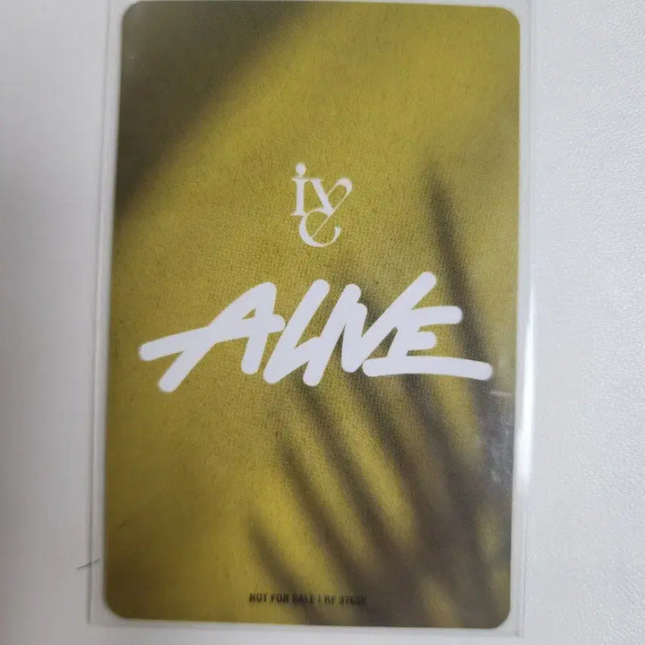 최저가,탈덕처분,급급급처))아이브 포캣몬 얼라이브 리즈포카 양도.판매