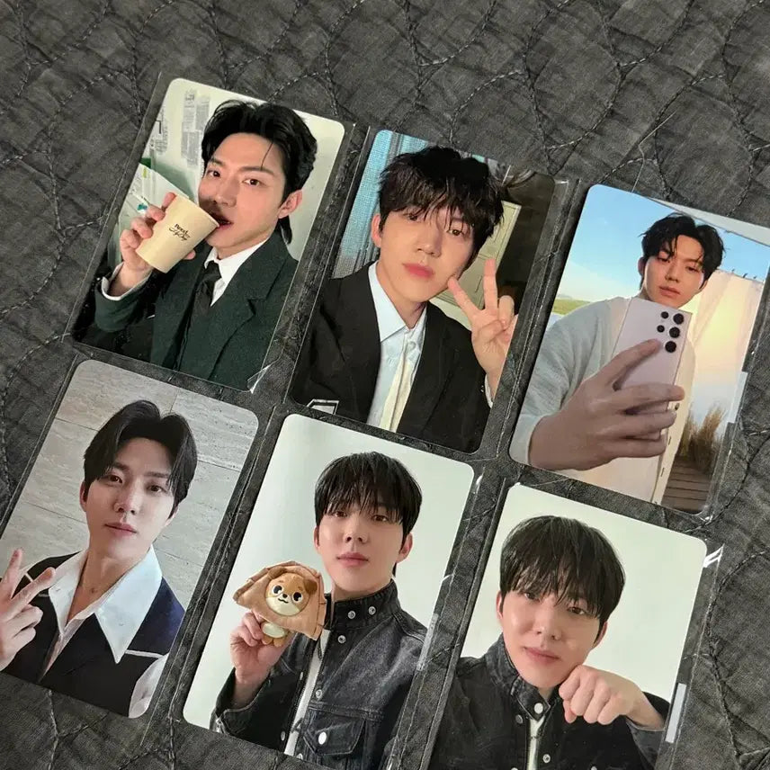 데이식스 도운 4만원 특전 포카 일괄 양도 (포에버영, 팬미팅 등)