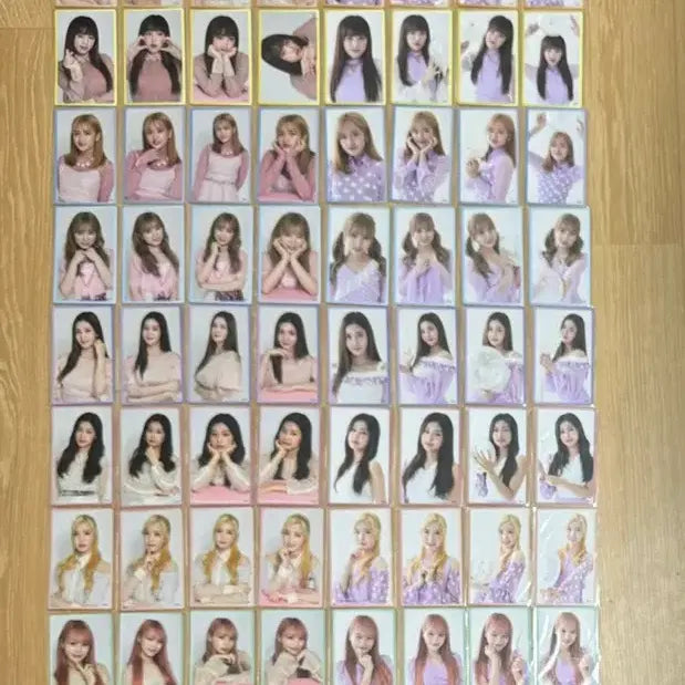 아이즈원 일본 활동 일본 콘서트 일콘 포카 콤프 일괄 양도