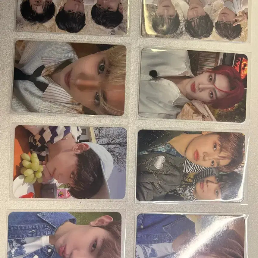 제로베이스원 포카 일괄 판매