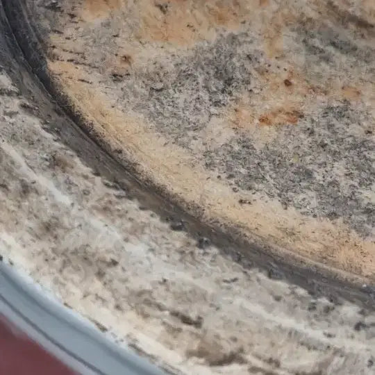 [BUNJANG] Antique Chinese Ceramic Vase / 유리홍 고도자 담수.어문 호 높26 지름34센 중국도자기 오래된 골통품