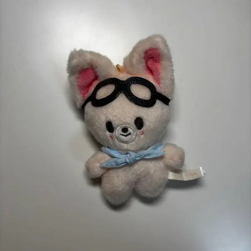 스키즈 스트레이키즈 아이엔 폭시니 파일럿