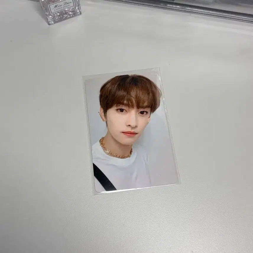 스트레이키즈 리노 포토카드