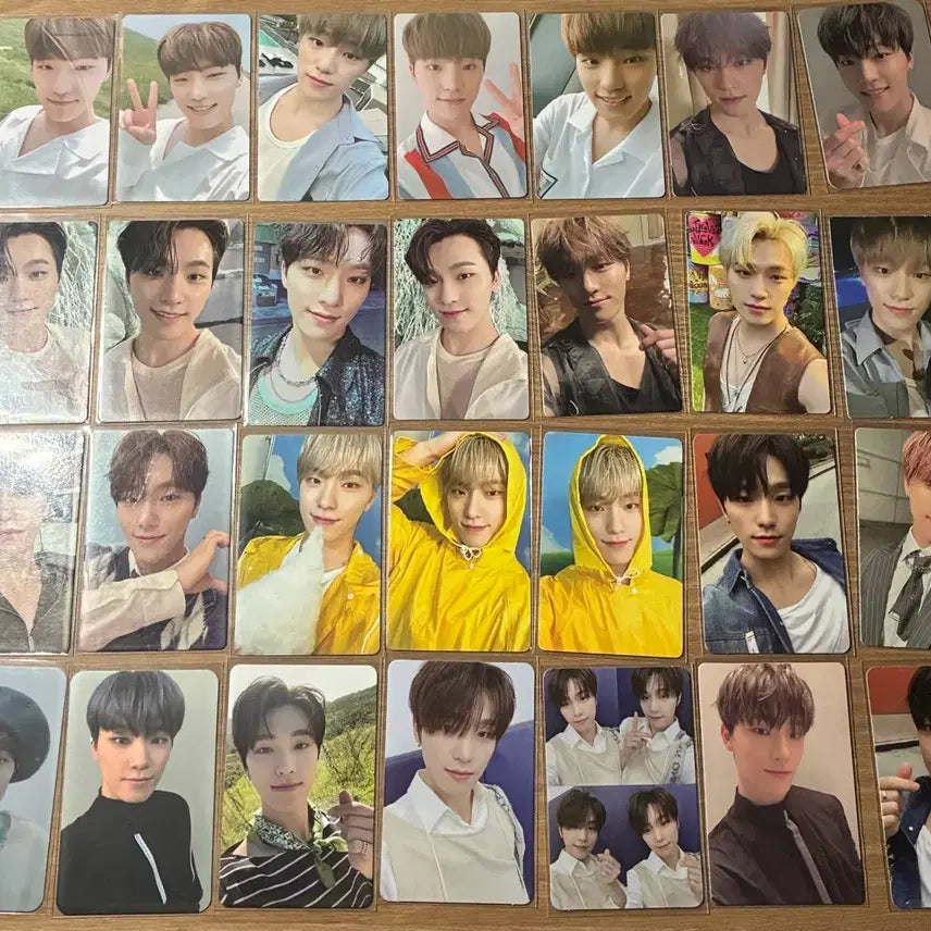 디노 포카 팔아요 일괄 3.5