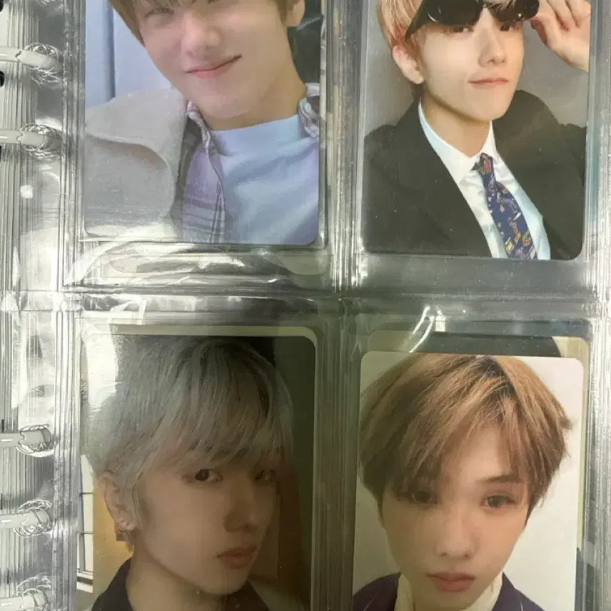 엔시티 지성포카 일괄