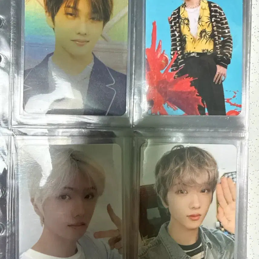 엔시티 지성포카 일괄