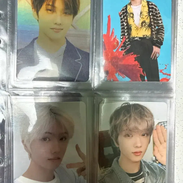 엔시티 지성포카 일괄