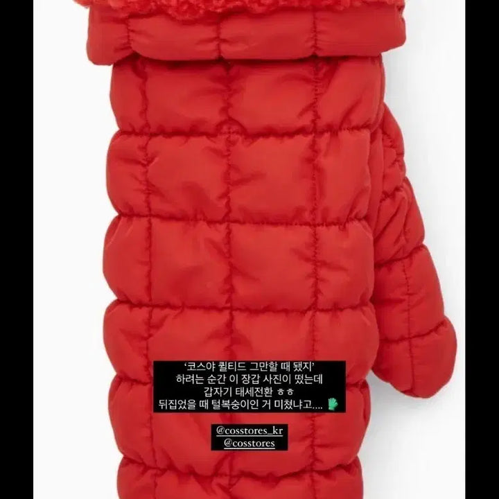 [BUNJANG] COS Quilted Gloves / 새상품)cos 민주픽 퀼티드 장갑
