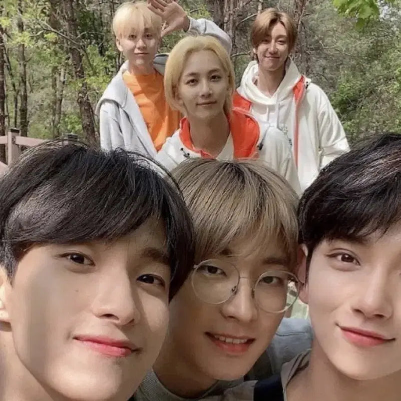 세븐틴 인더숲1 기프트 포카(특전포카) 일괄 양도