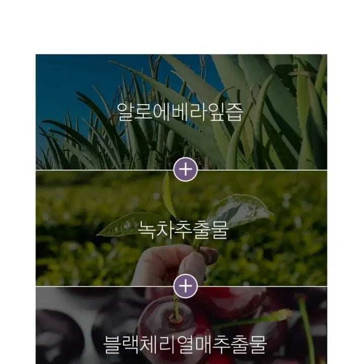 [BUNJANG] Hand Cream 1+1 Set / [핸드 크림] 고보습 수분장착 향기로운 매끈피부로 선물용 최고 1+1행사