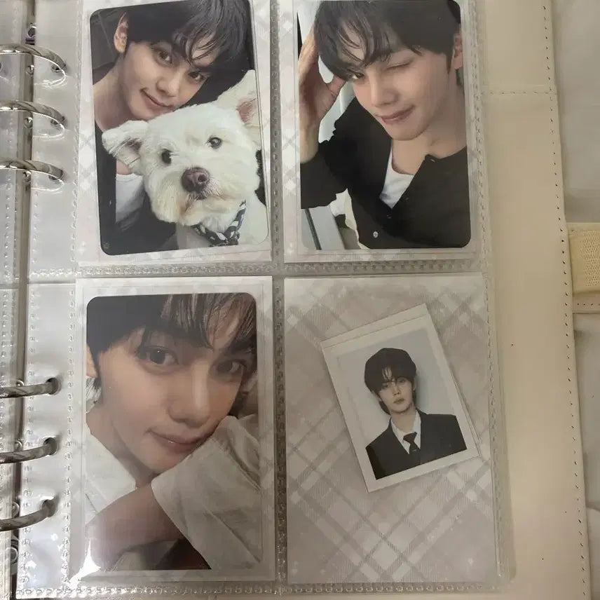 제로베이스원 제베원 포카 장하오 성한빈 김규빈 폭덤