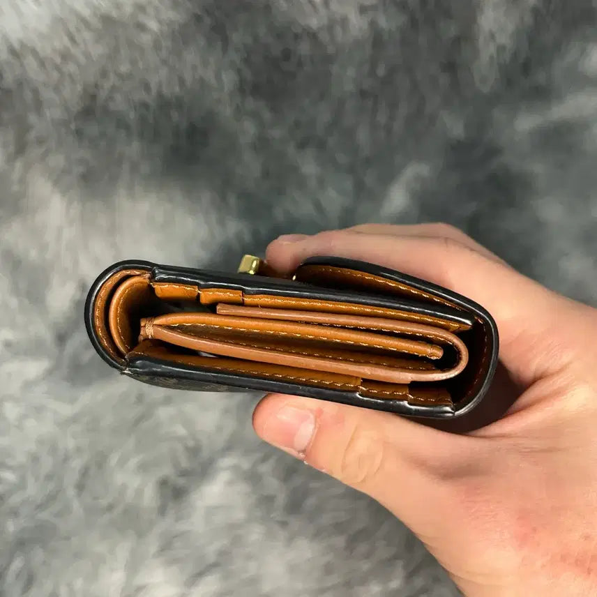 [BUNJANG] Celine Triomphe Wallet / [OS,풀구성품] 셀린느 트리옹프 반지갑