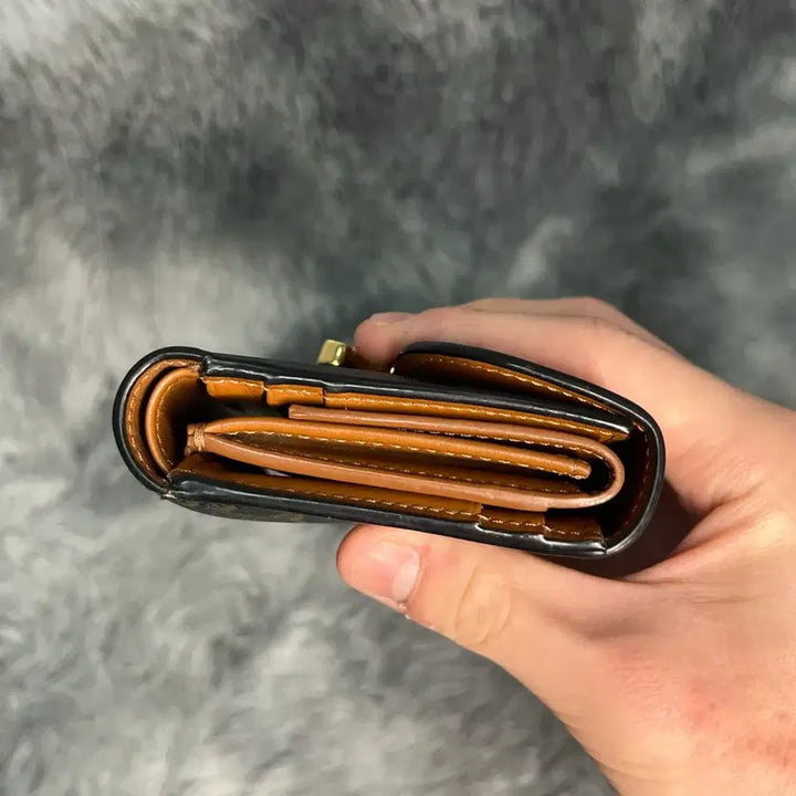 [BUNJANG] Celine Triomphe Wallet / [OS,풀구성품] 셀린느 트리옹프 반지갑