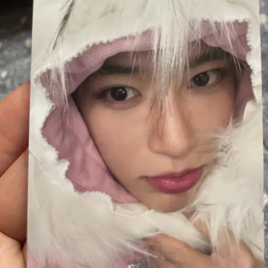 엔시티 위시 시온 포카(color)