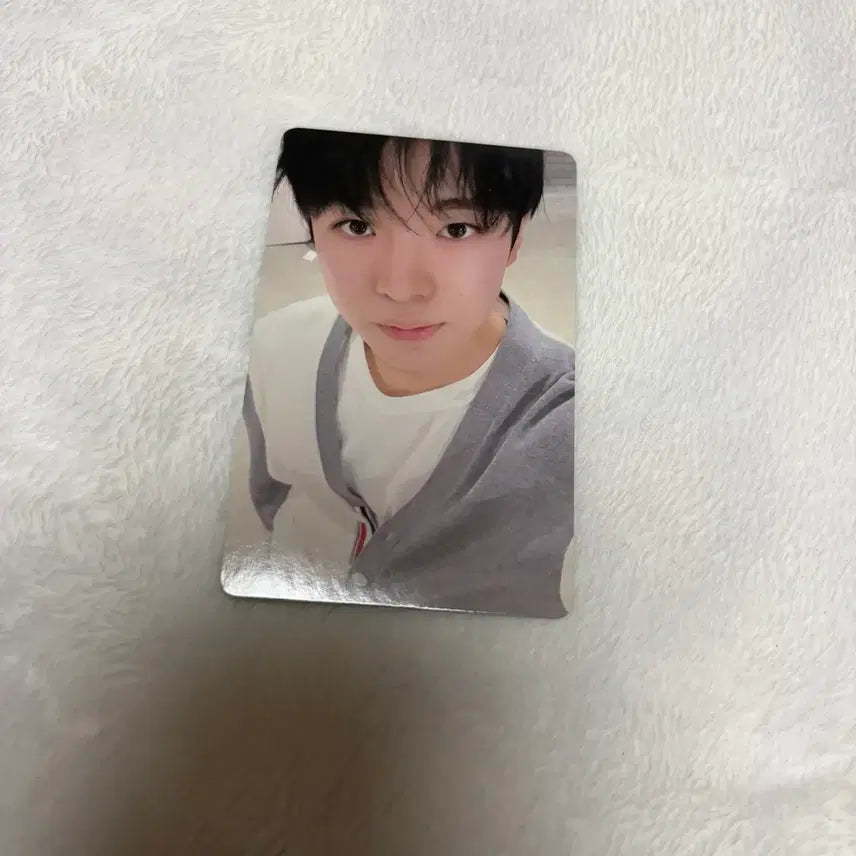 엔시티 위시 엔위시 유우시 KMS 팝팝 포카 폴라 양도 판매 처분