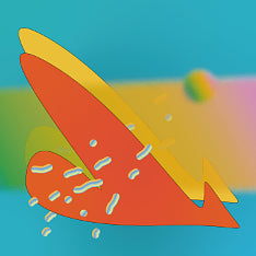 [BUNJANG] Jiyunhae - Dog's Position CD Album / [미개봉/택포]CD,음반(봉제인간,파라솔,술탄) 지윤해 - 개의입장