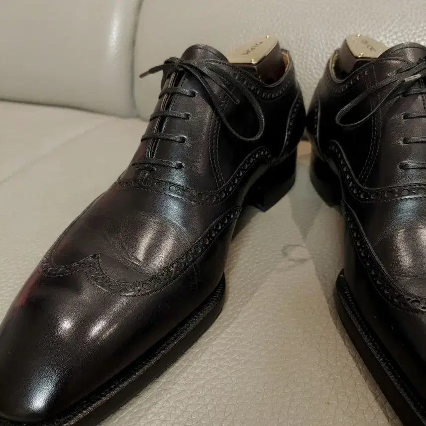 [BUNJANG] Ricardo Bestetti Wingtip Shoes / 리카르도 베스테티 윙팁 구두