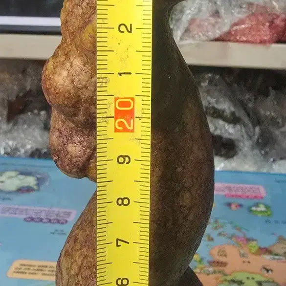 [SOLD OUT] 홍산문화 기물