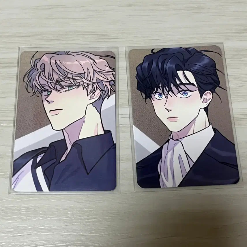 [BUNJANG] Team Resin Collection Photocard Bundle Set / 뿌없나 뿌리 없는 나무 팀레진 컬포 컬렉션 포카 일괄 판매합니다