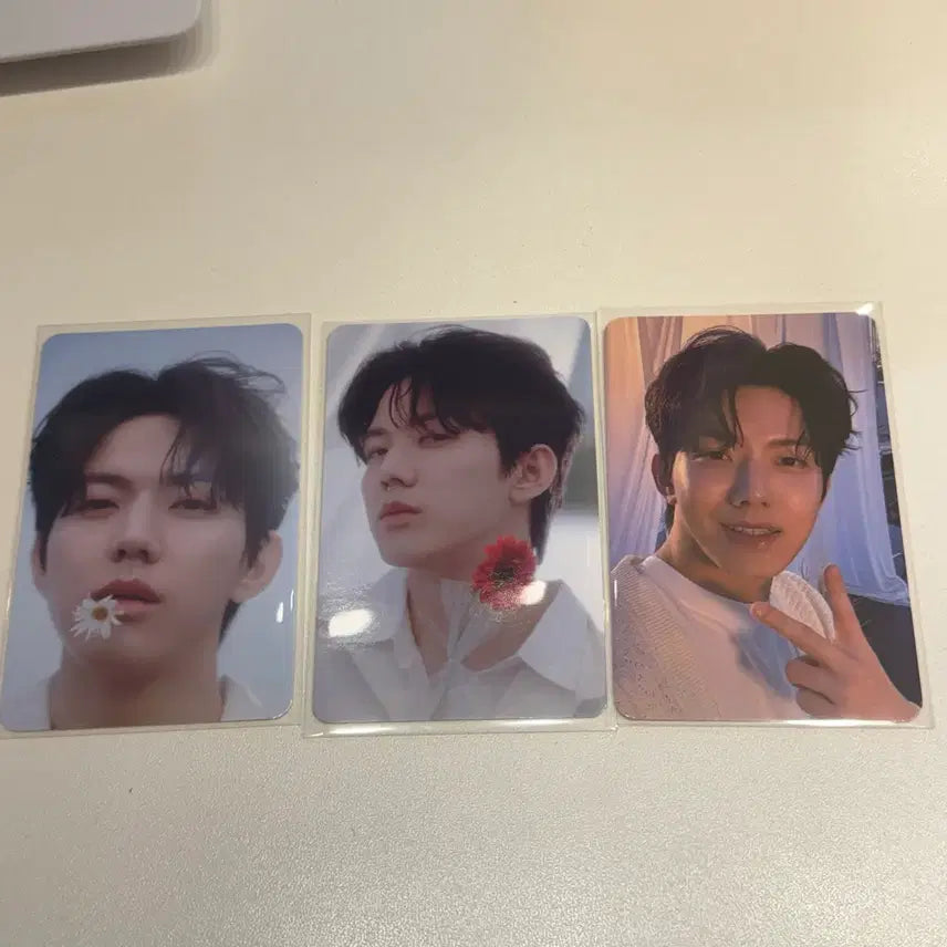 데이식스 피어텐 도운포카 일괄양도