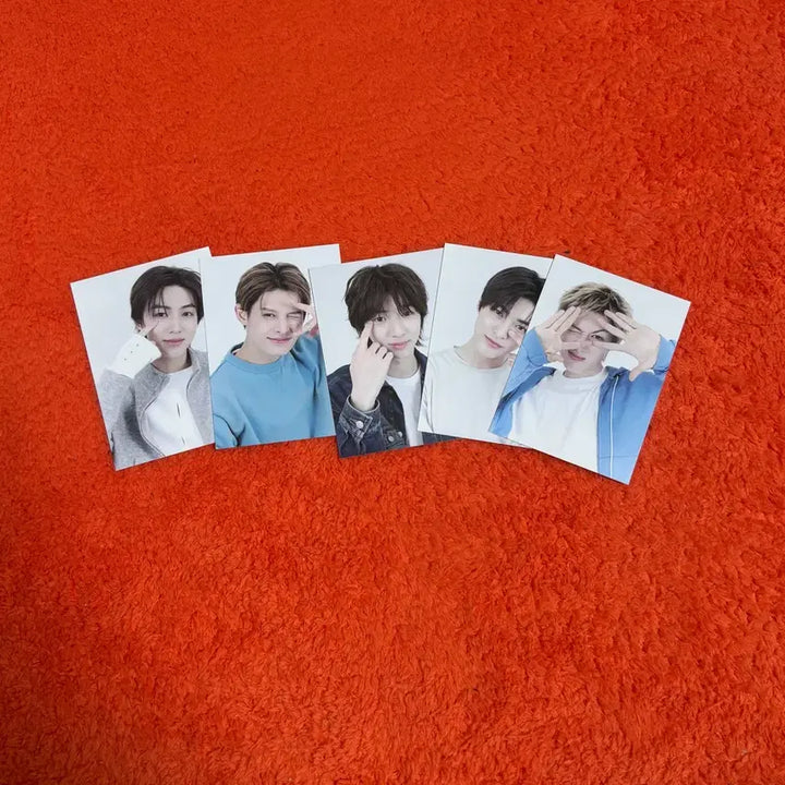 코르티스 아쿠브 렌즈 포카 세트 풀박스 acuvue 일괄