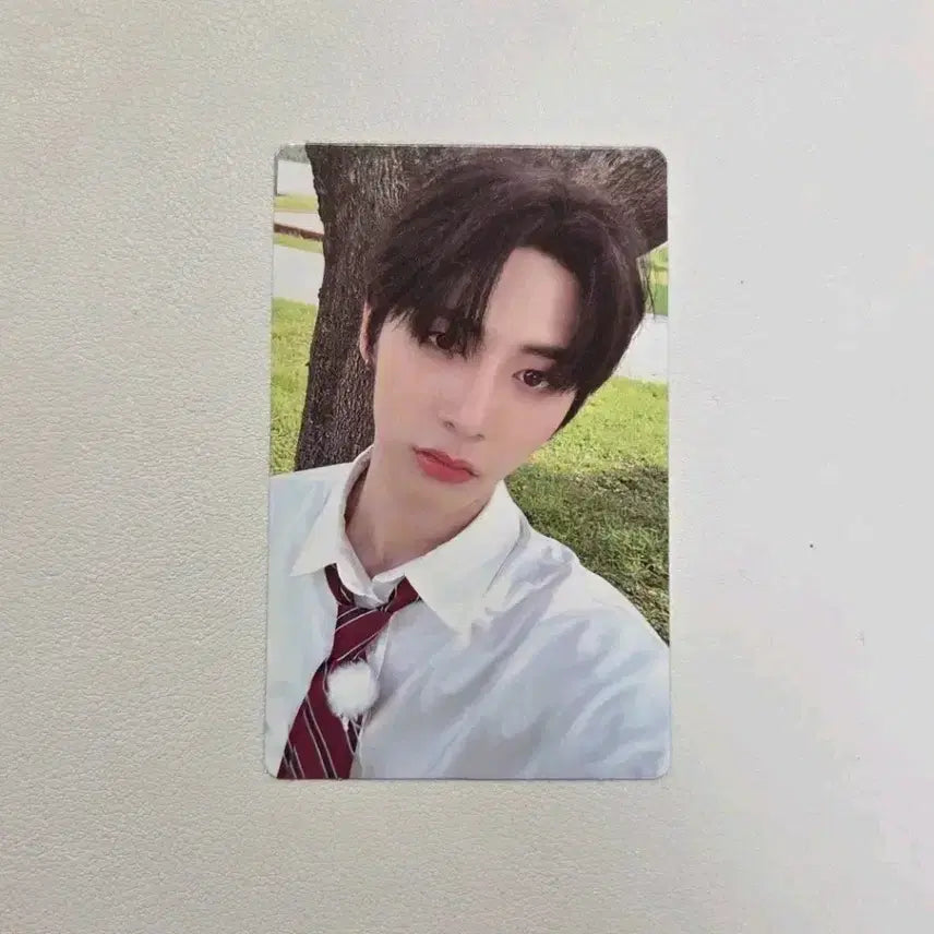 보넥도 태산 와이 엠투유 2 미공포 특전 포카 양도