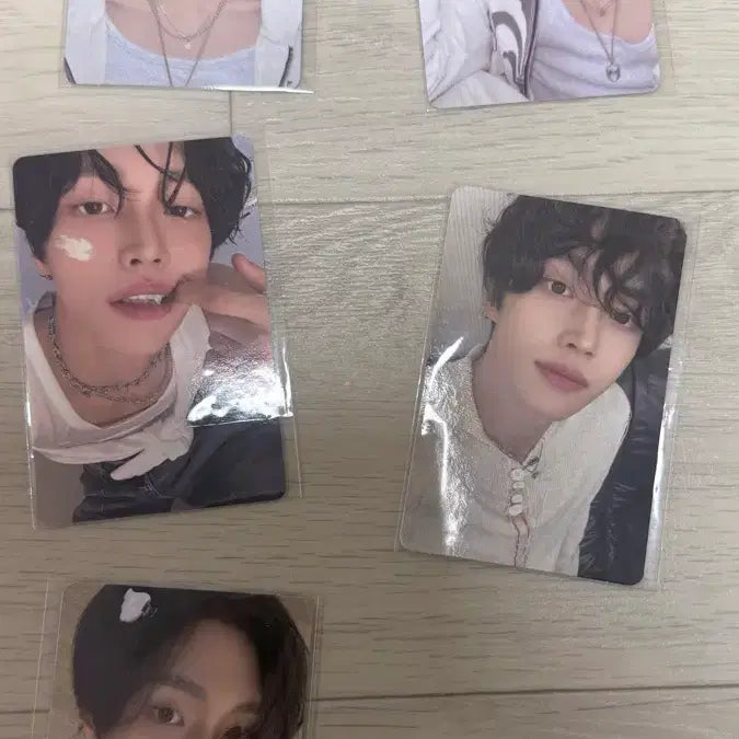 라이즈 2026 시그 원빈 포카