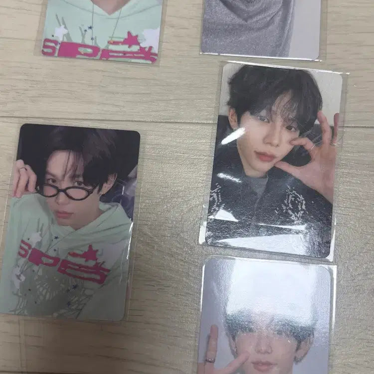 라이즈 2026 시그 쇼타로 포카