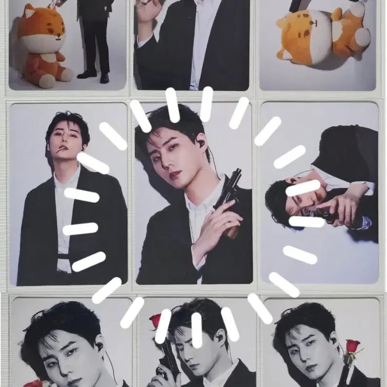 데이식스 이오데 트레카 영케이 포카 9장