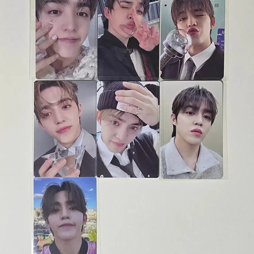 7장] 세븐틴 에스쿱스 승철 포카 캐럿존 멤버십 키트 10주년 스탬프