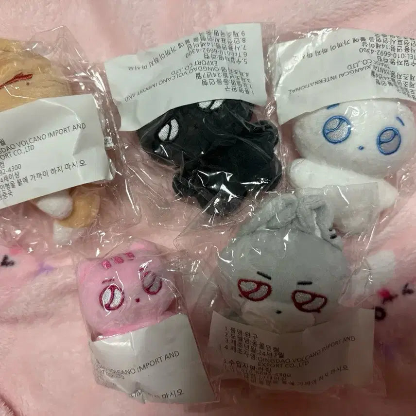 [BUNJANG] PLAVE Doll / 플레이브 비공식 인형 말랑플브 판매 합니다.