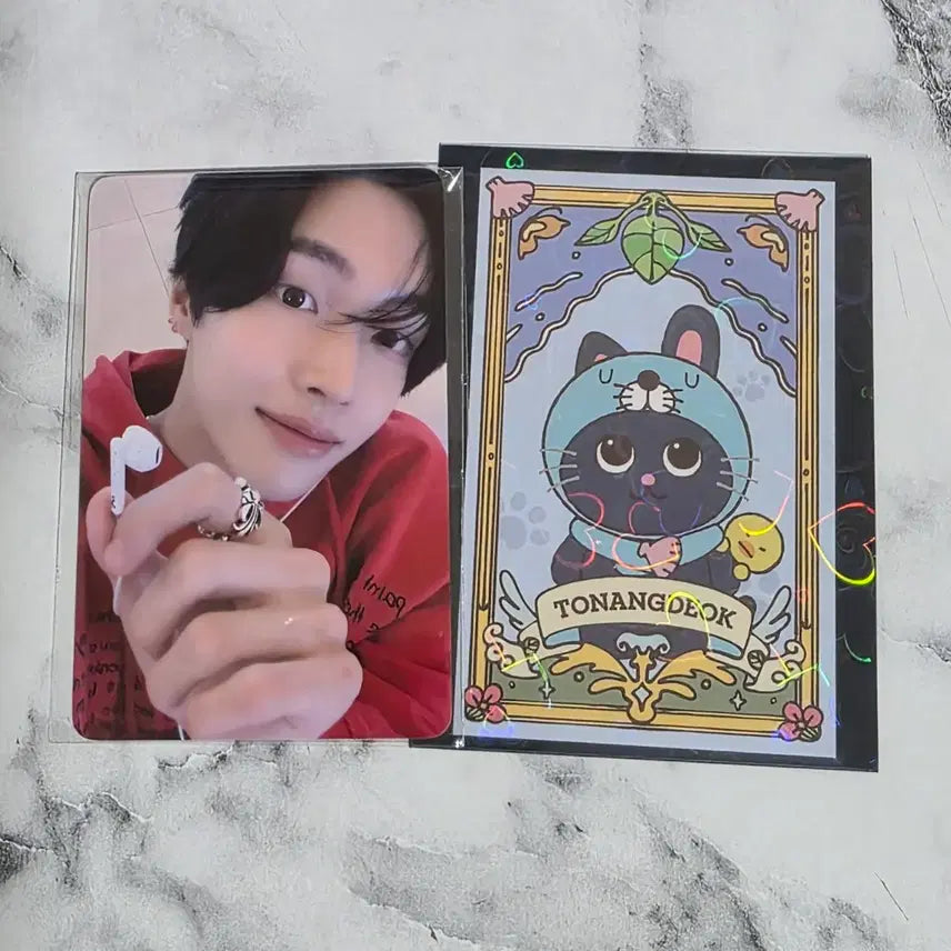 라이즈 원빈 포카