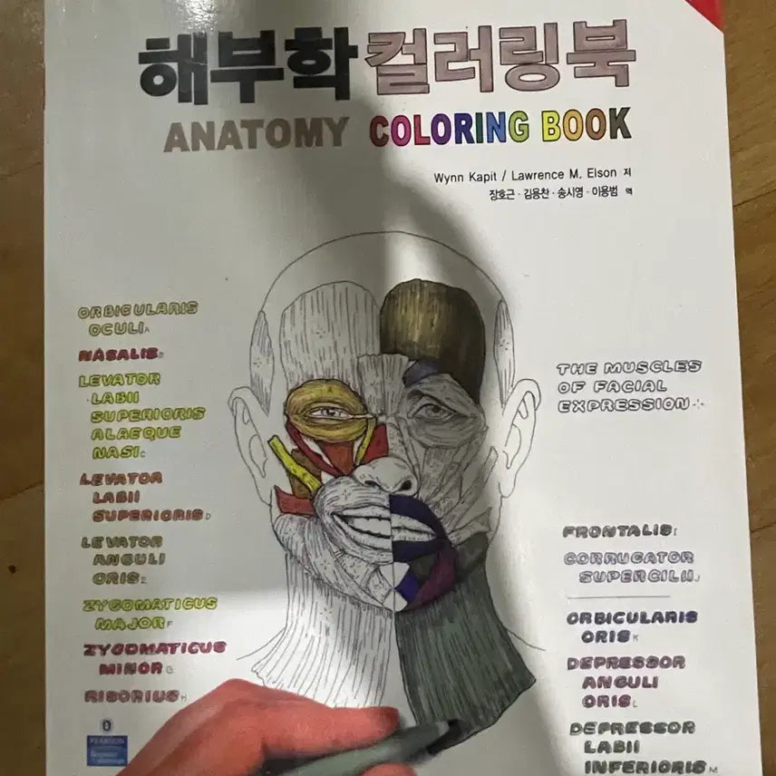 [BUNJANG] Anatomy Coloring Book / 해부학 컬러링북 (Anatomy Coloring Book)