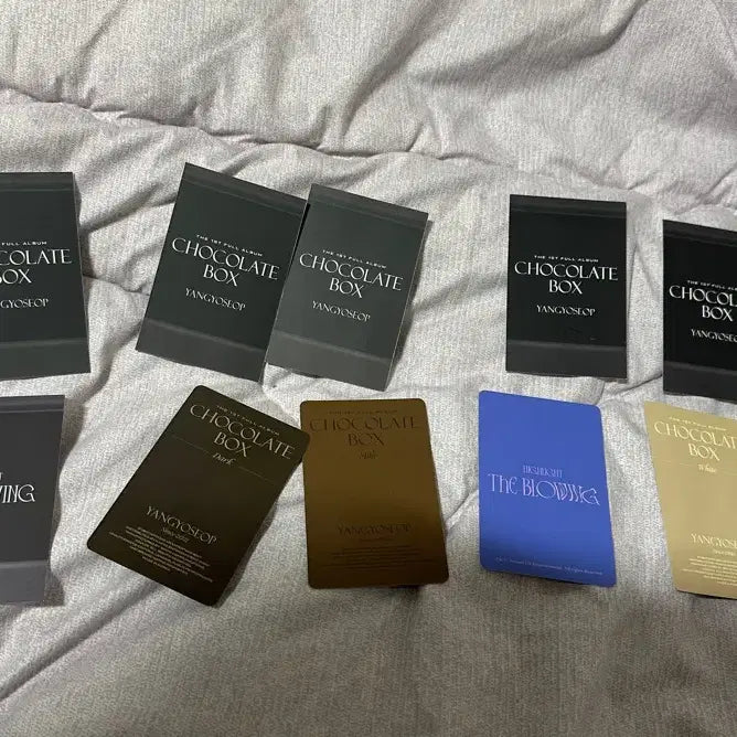 하이라이트 솔로 양요섭 포카 폴라로이드 렌티큘러 일괄