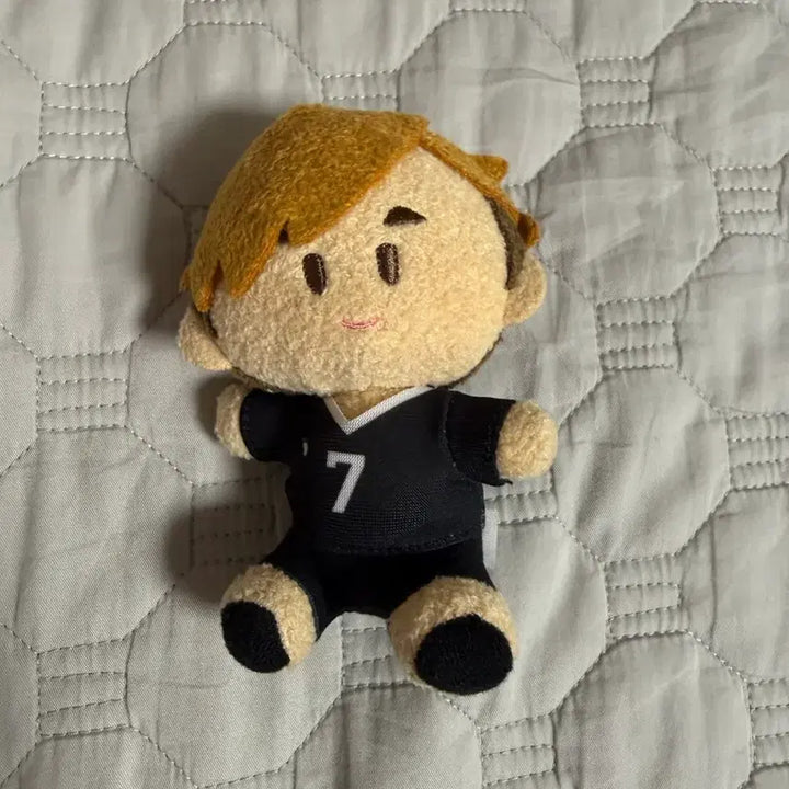 [BUNJANG] Haikyu Miyu Atsumu Doll / 하이큐 미야 아츠무 인형